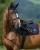 TH17HSAP186-004-77.webp