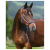 tommy-hilfiger-kantar-z-uwiazem-yale-faded-indigo1.png