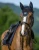 TH17HSAP186-004-80_40d0194b-c2af-4ef9-8c49-75f76f4d4f9d.webp