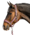 5052831-WB_11.png
