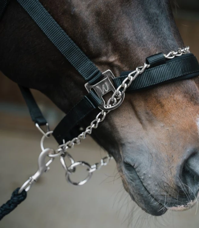 5051801-VB_22_800x800.jpg