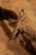 IMG_7694.jpeg