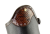Luca-Stulpe-braun.png