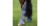 horseware-ireland-amigo-travel-boots-excal-orange-477646-en.jpg