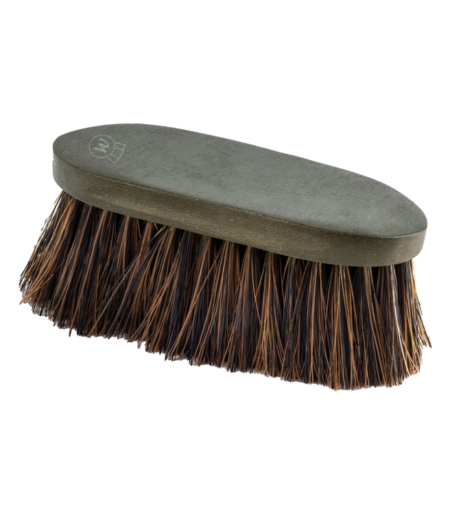 3825546_3.png