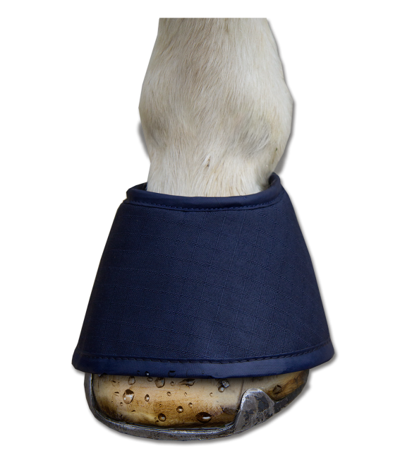3753005-L_3.png
